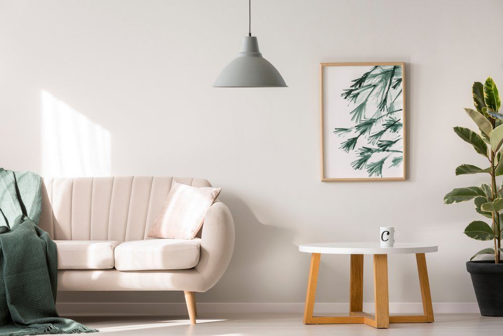 A Living Room with A Couch, Table, and Plant — Cachia Upholstery in Tuncurry, NSW