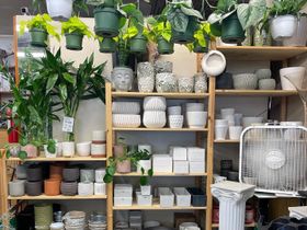 a display of potted plants 