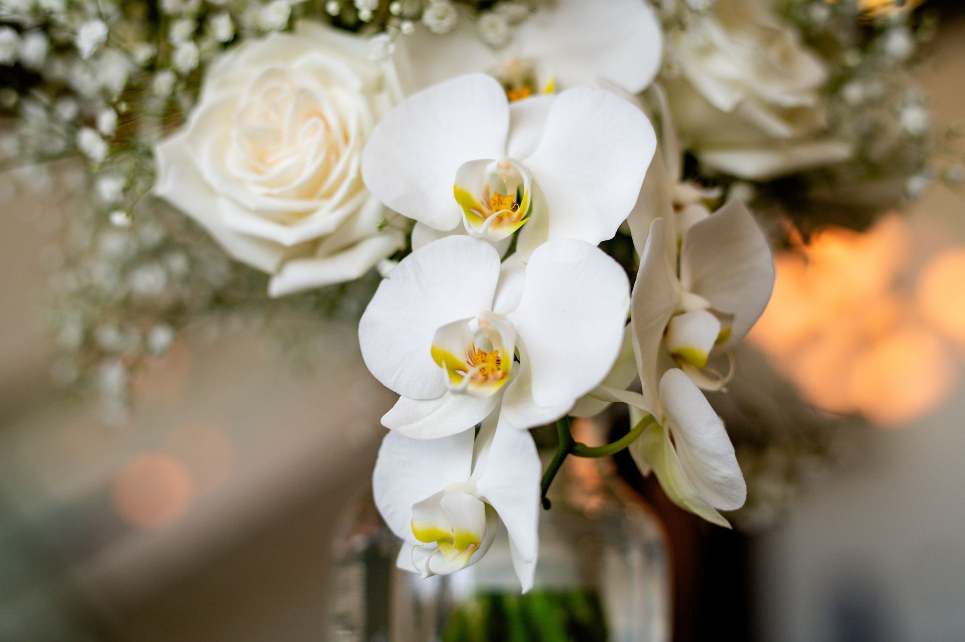 White orchids and roses in a clear glass vase.