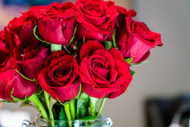 a bouquet of red roses tied with a red ribbon