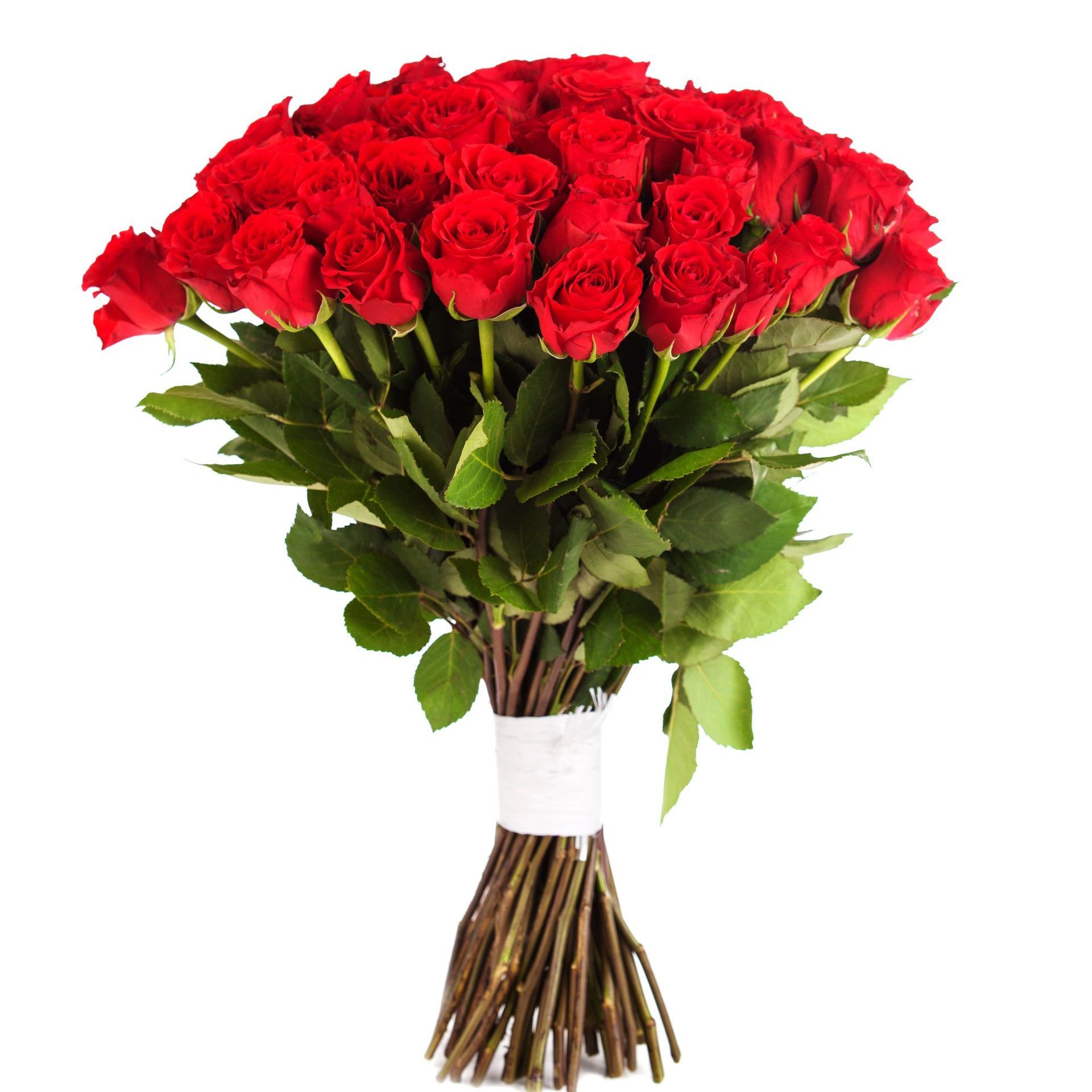 a large bouquet of red roses is tied with a white ribbon