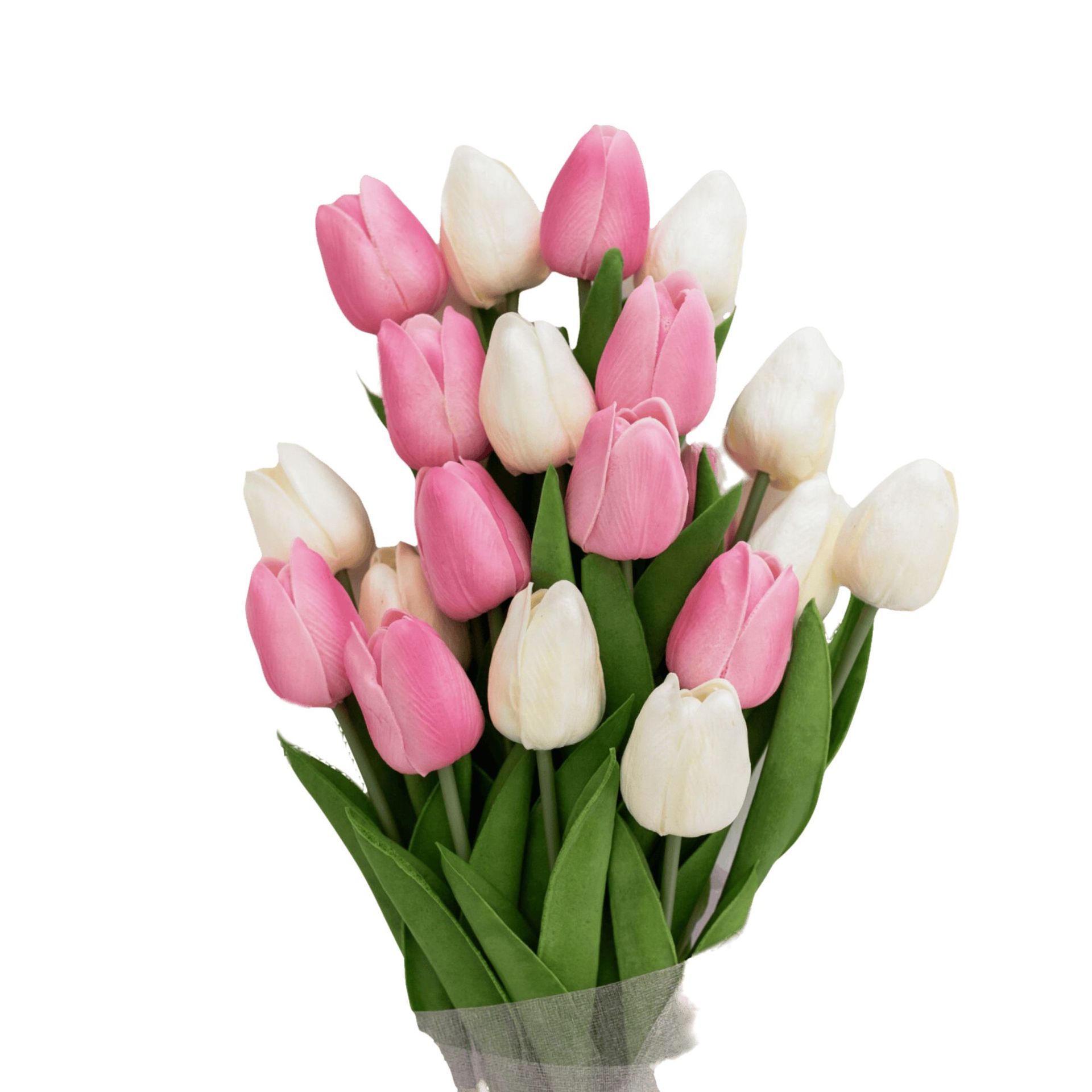 a bunch of pink and white tulips on a white background
