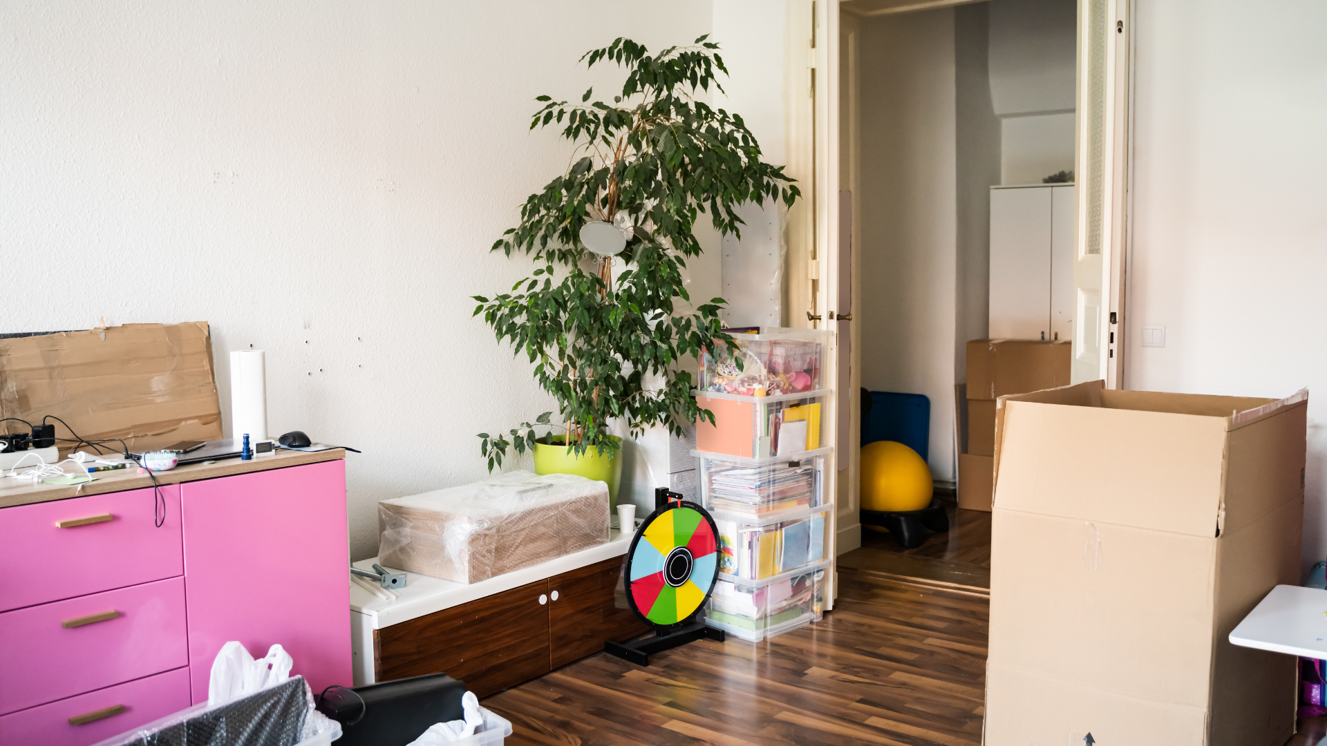 Messy room with large plant, pink cabinet, cardboard boxes, and open doorway.