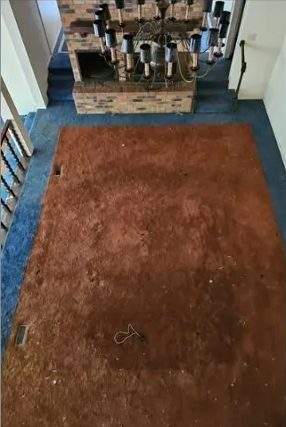 Overhead shot: Shag rug on blue carpet, brick fireplace, ornate chandelier.