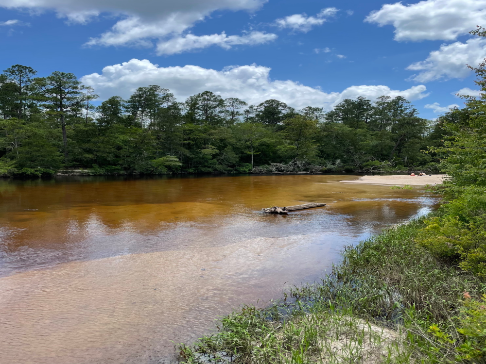 Blackwater River State Park