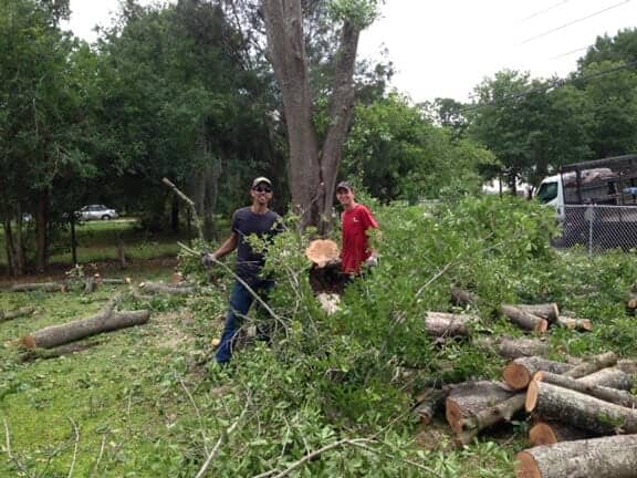 Tree 2 — Tree Removal Service in Auburndale, FL