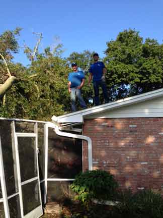 Tree 6 — Tree Removal Service in Auburndale, FL