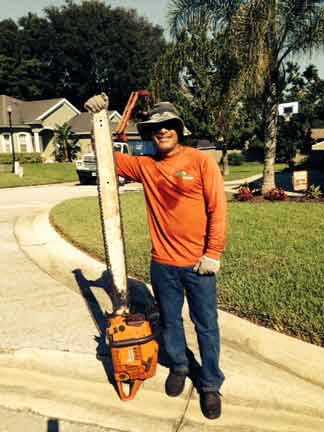 Tree Expert — Tree Removal Service in Auburndale, FL