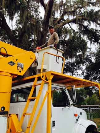 Tree Removal Truck — Tree Removal Service in Auburndale, FL