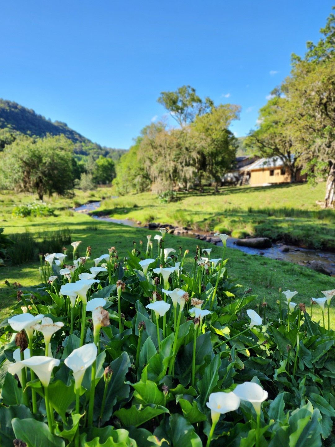 Pátio com construções de tijolos e madeira, portão de ferro e mesa.