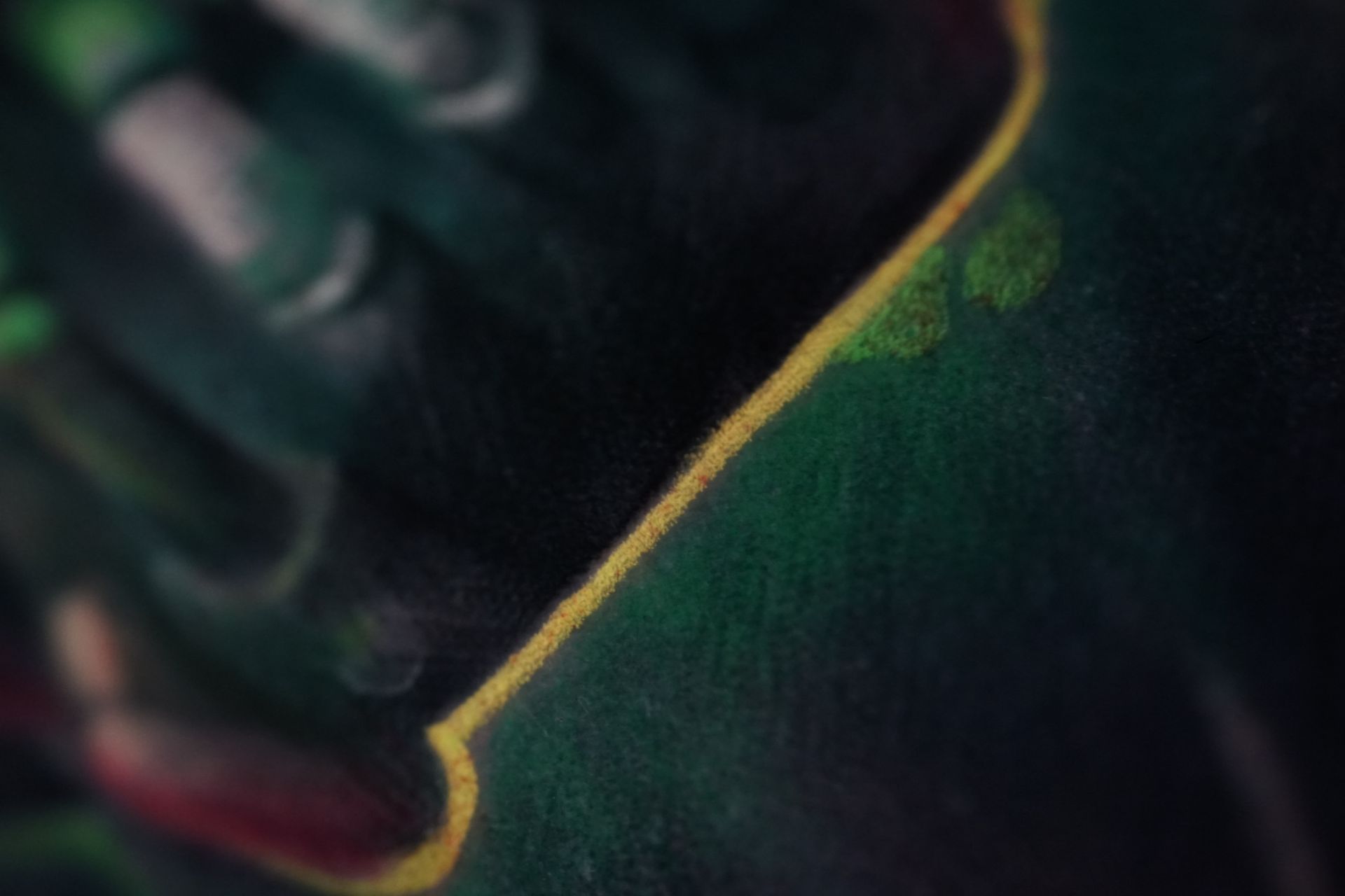 A close up of a green leaf with a yellow stripe on it.