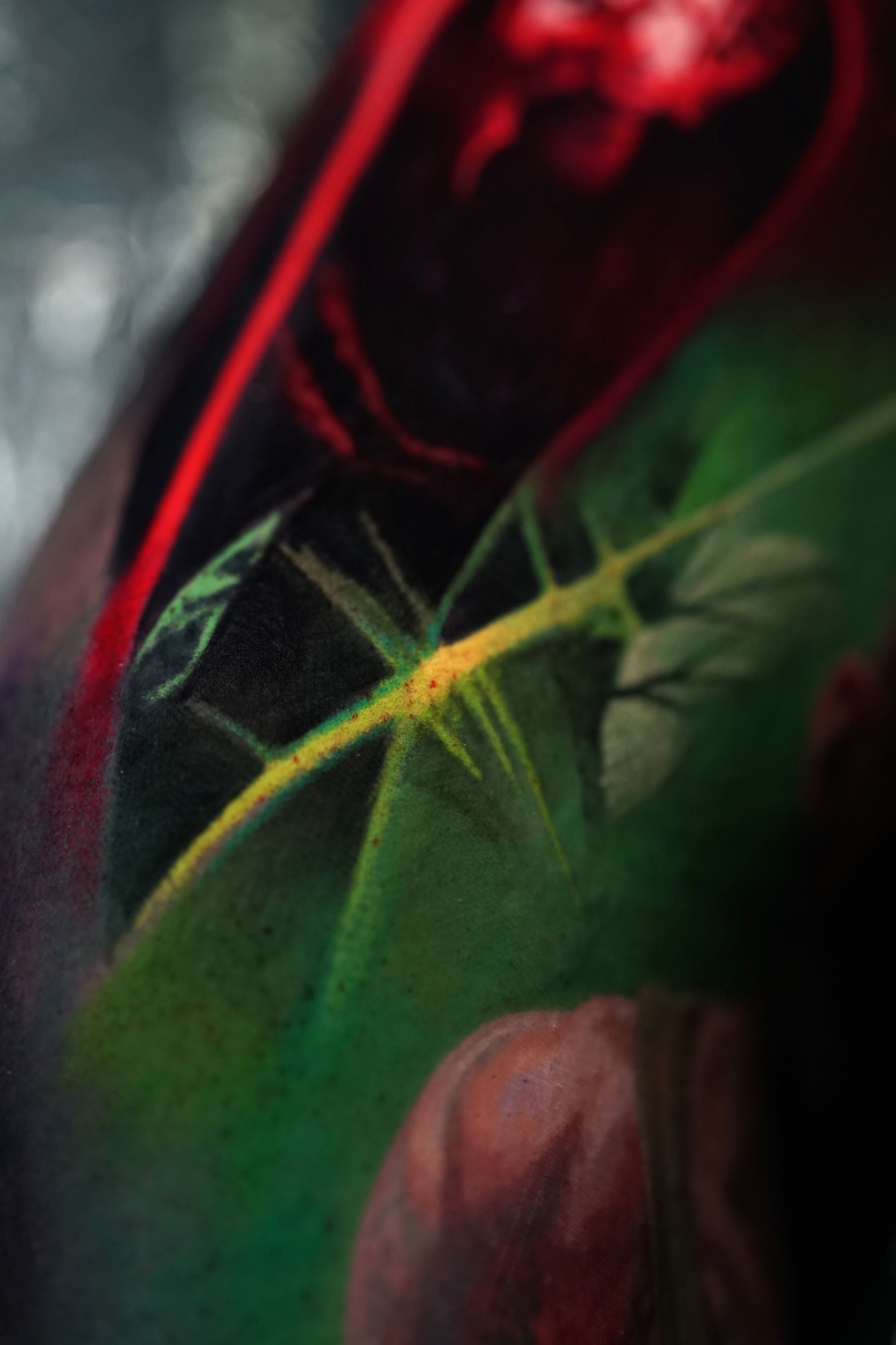 A close up of a painting of a plant with a red flower in the background