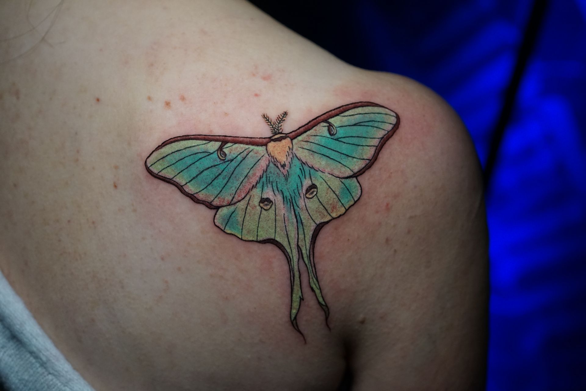 A woman has a tattoo of a moth on her shoulder