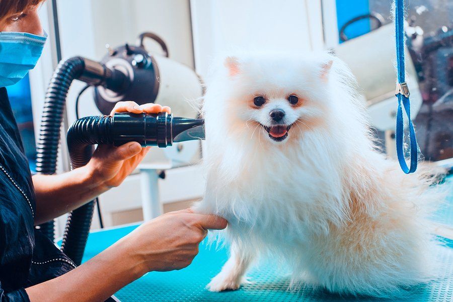 worker using a blower