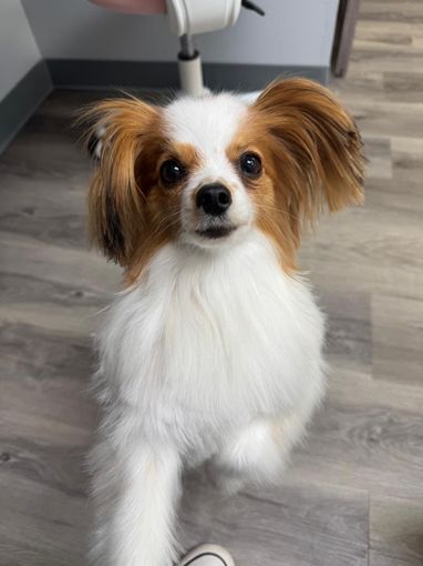 worker using a blower