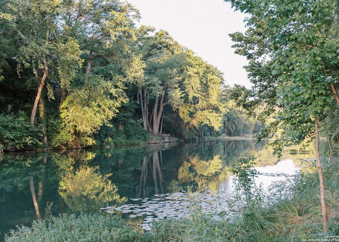 A tranquil river flows through a dense, green forest with trees reflecting on the calm, dark water surface.