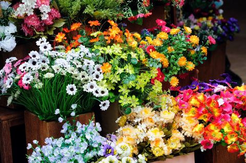 fiori multicolore recisi in vaso
