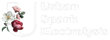 Urban Spark Electrolysis logo