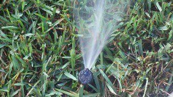 Sprinkler, Irrigation System Repairs in Palm Harbor, FL