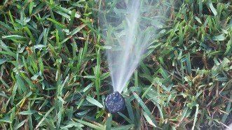 House, Sprinkler System Pumps in Palm Harbor, FL
