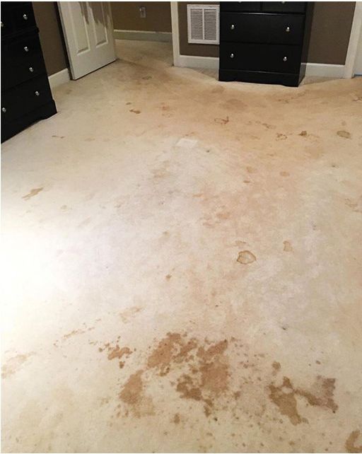 A before and after picture of a dirty carpet and a clean carpet.