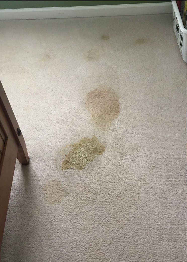 A before photo of a bedroom carpet