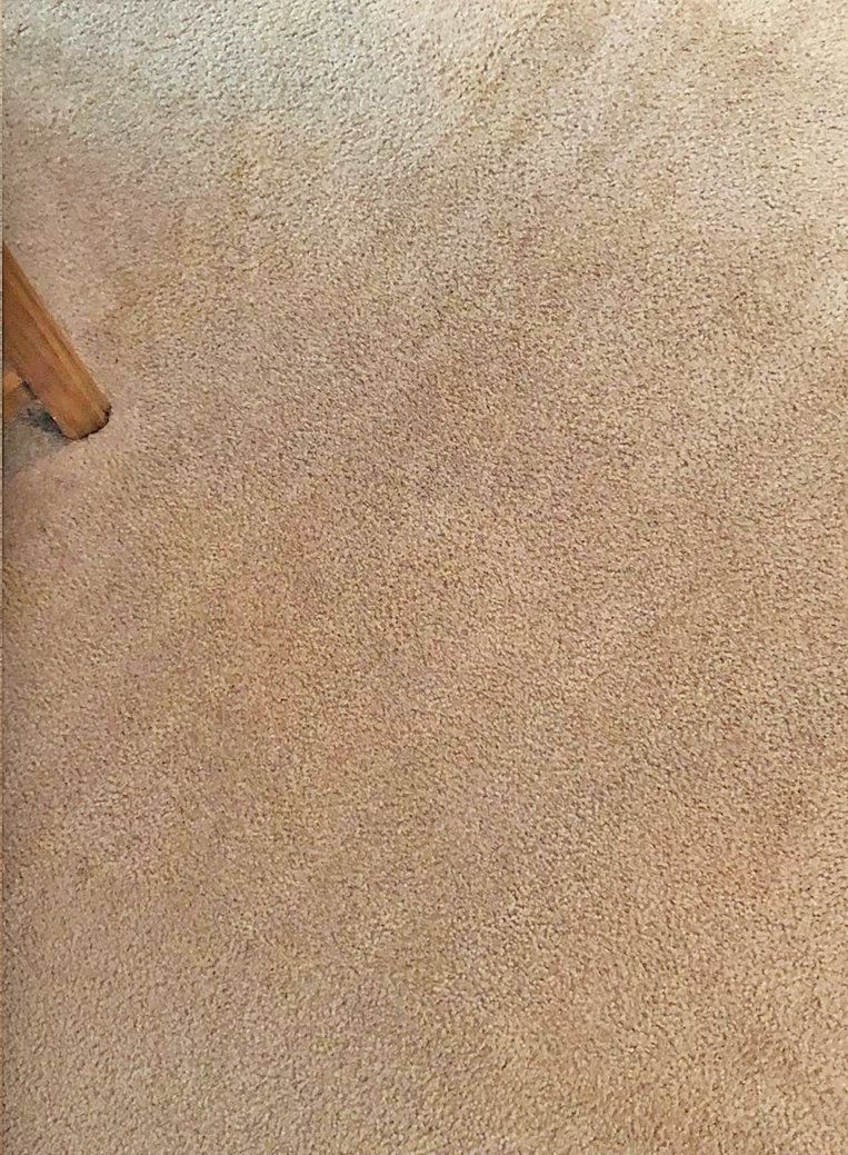 An after picture of a carpet being cleaned.