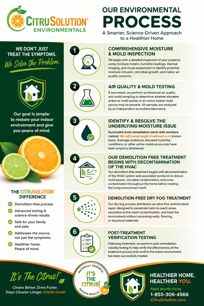 CitrusSolution infographic showing an environmental process with lime and orange graphics and step-by-step recycling icons