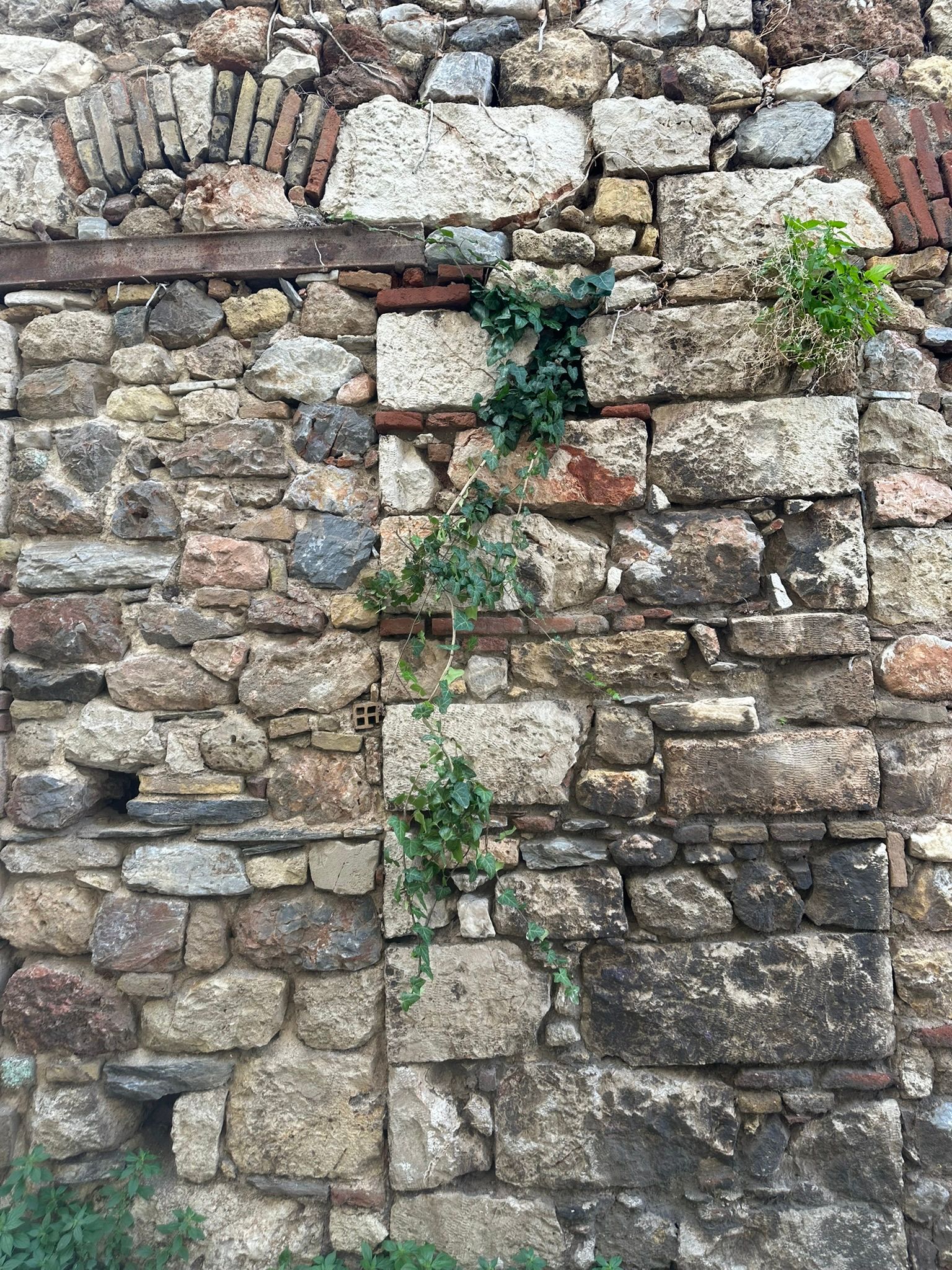 Mur de pierre avec des plantes qui y poussent.