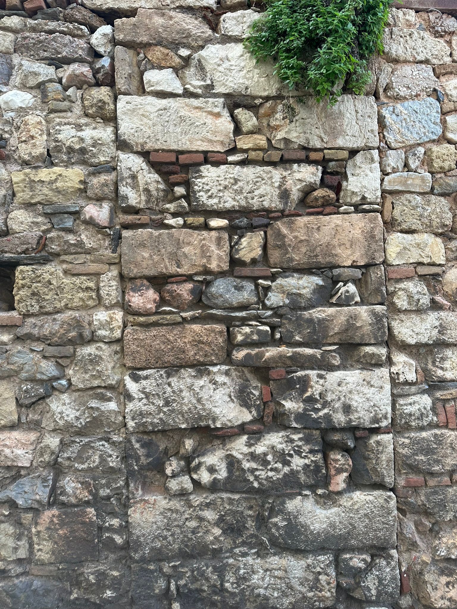 Mur en pierre avec une ouverture murée ; pierres de tailles et de couleurs variées, petite plante verte au sommet.