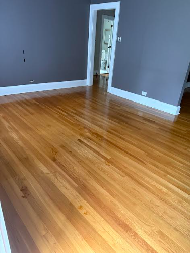 Hardwood floor with glossy finish, reflecting light. Gray walls, white trim. Interior view of a room.