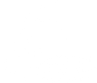 Action Window Tinting