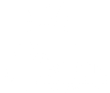 Action Window Tinting