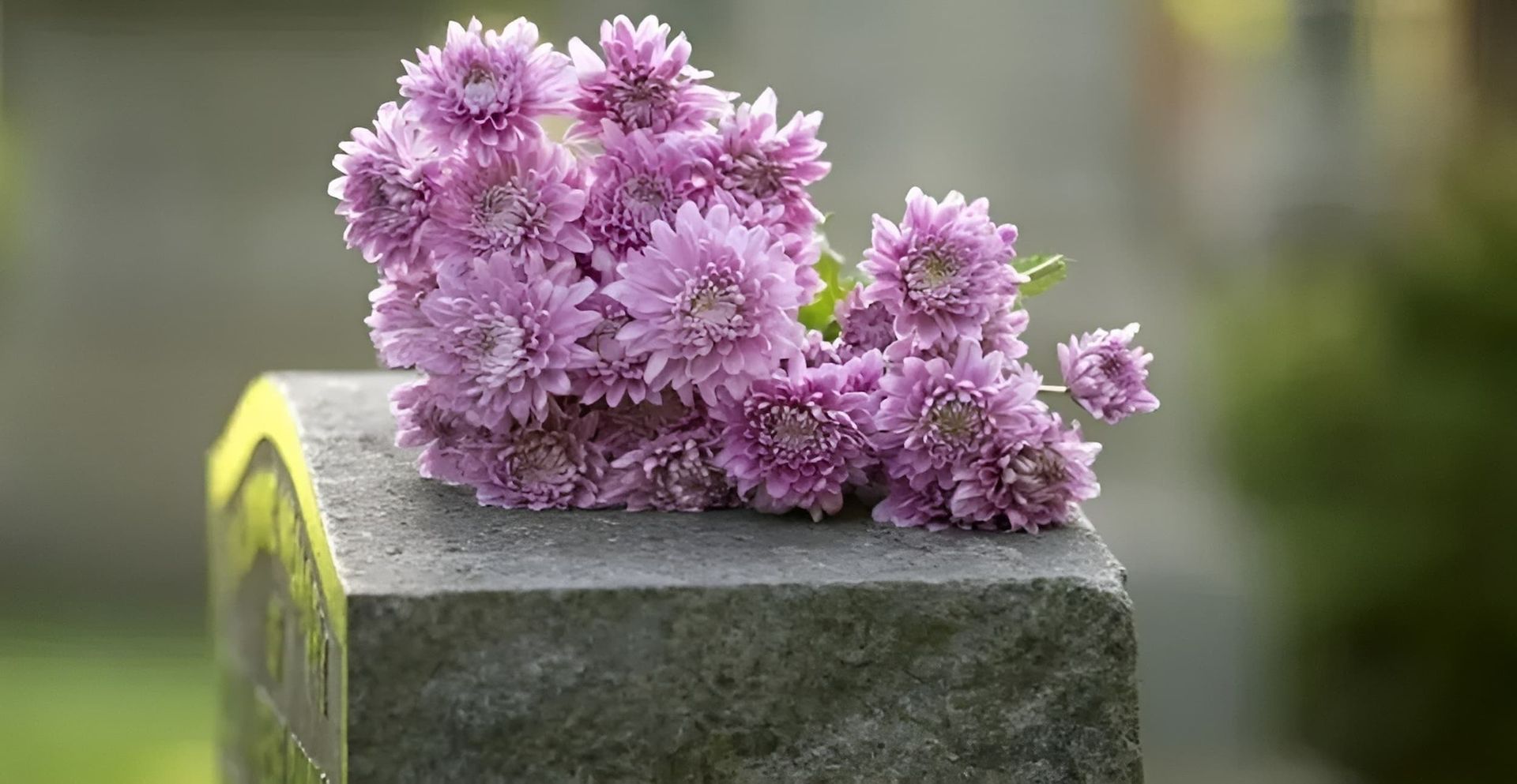 A Bunch of Purple Flowers Are Sitting on Top of a Gravestone — GinaS Cairns Tropical Weddings in Parramatta Park, QLD