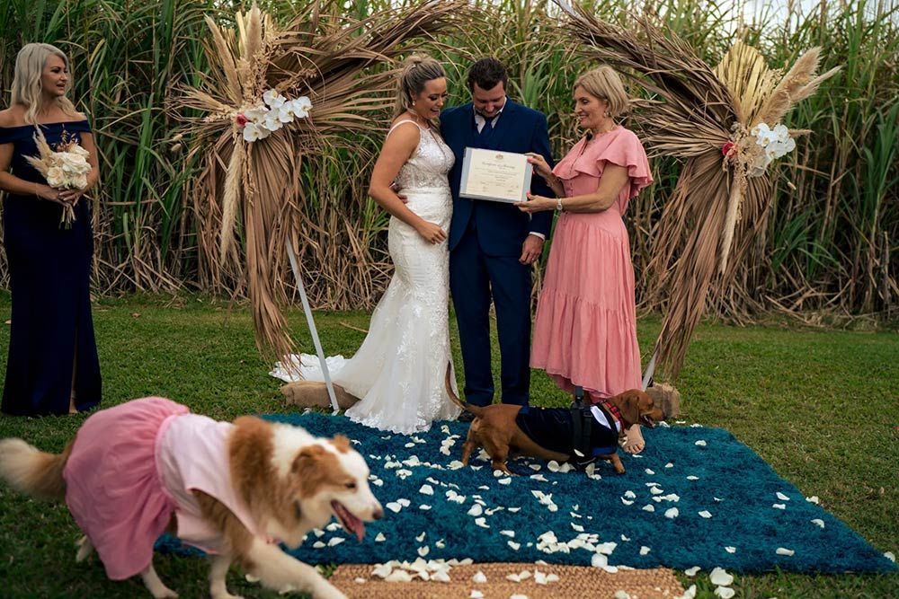 Brides and Groom Receiving Certificate — GinaS Cairns Tropical Weddings in Parramatta Park, QLD