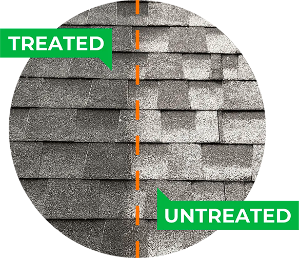 A before and after picture of a roof that has been treated and untreated.