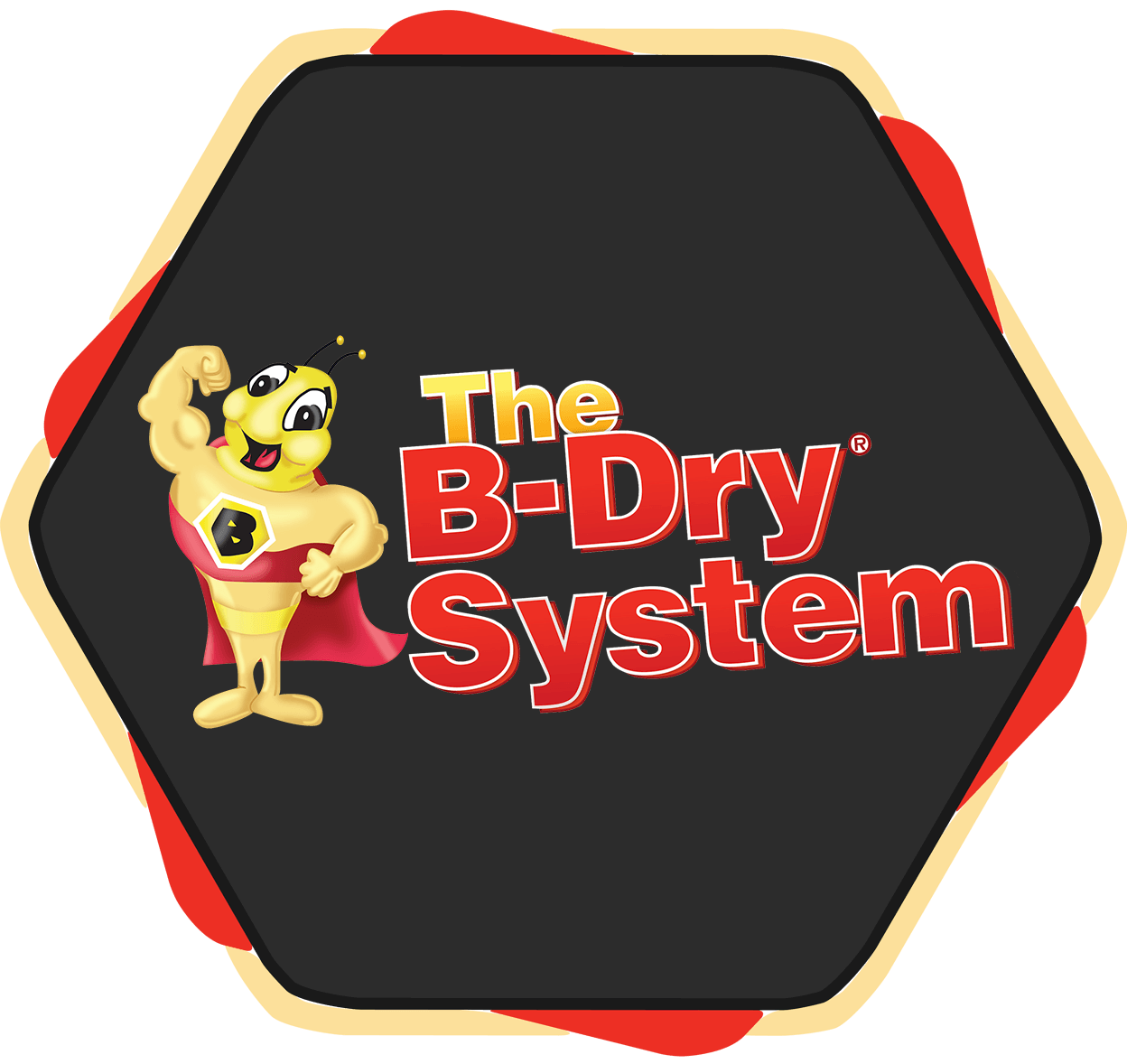 B-Dry System of Michigan