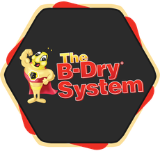 B-Dry System of Michigan