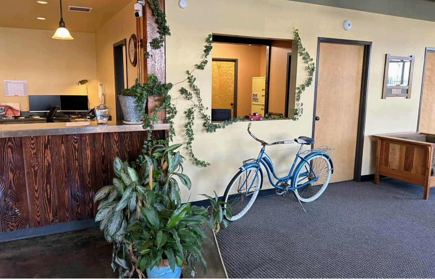 Reception area with a blue bicycle, plants, and a wooden counter.