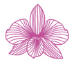 icona orchidea