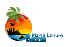 A logo for marsh leisure & tours with a palm tree