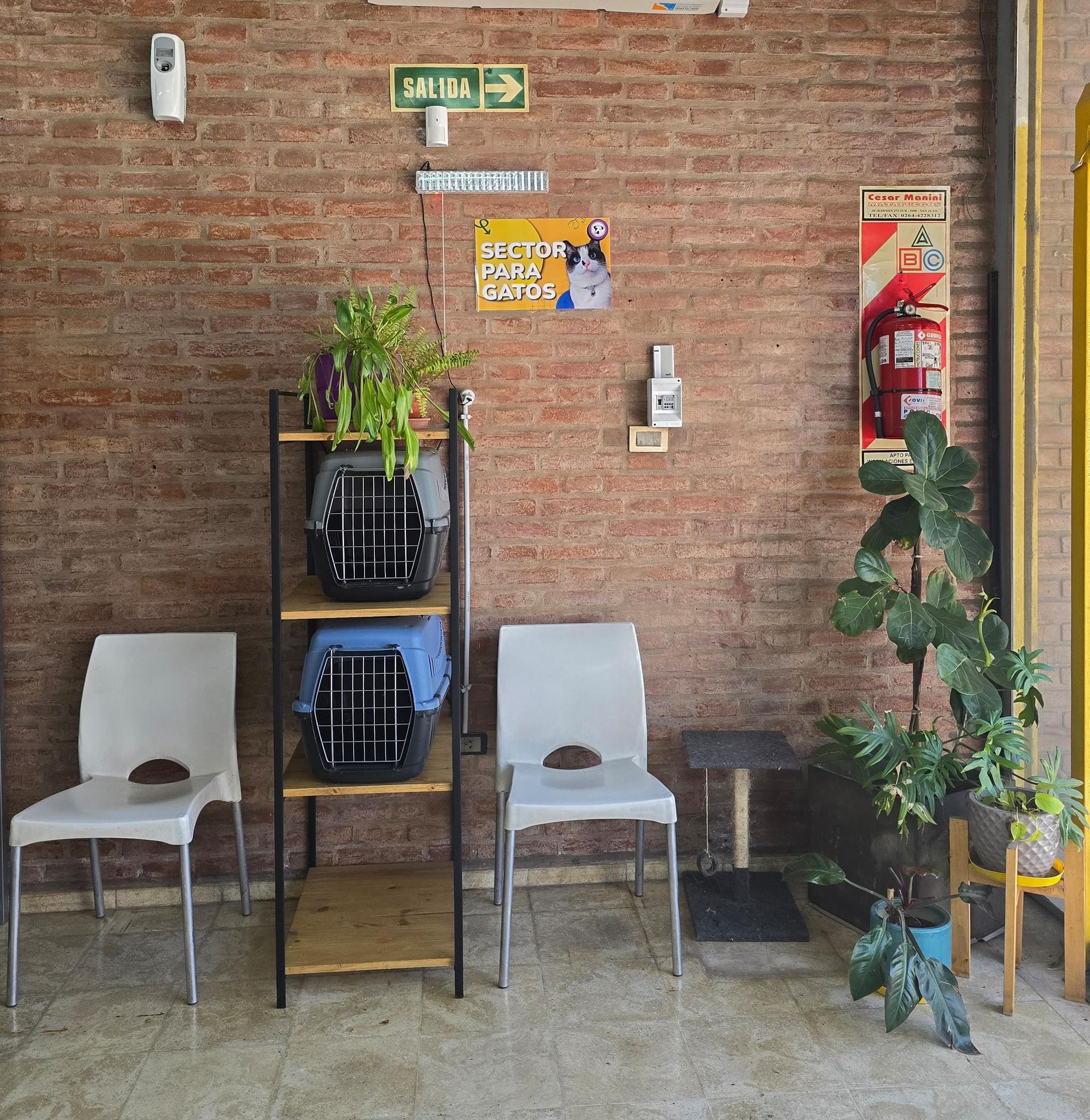 Veterinaria San Martin de Porres