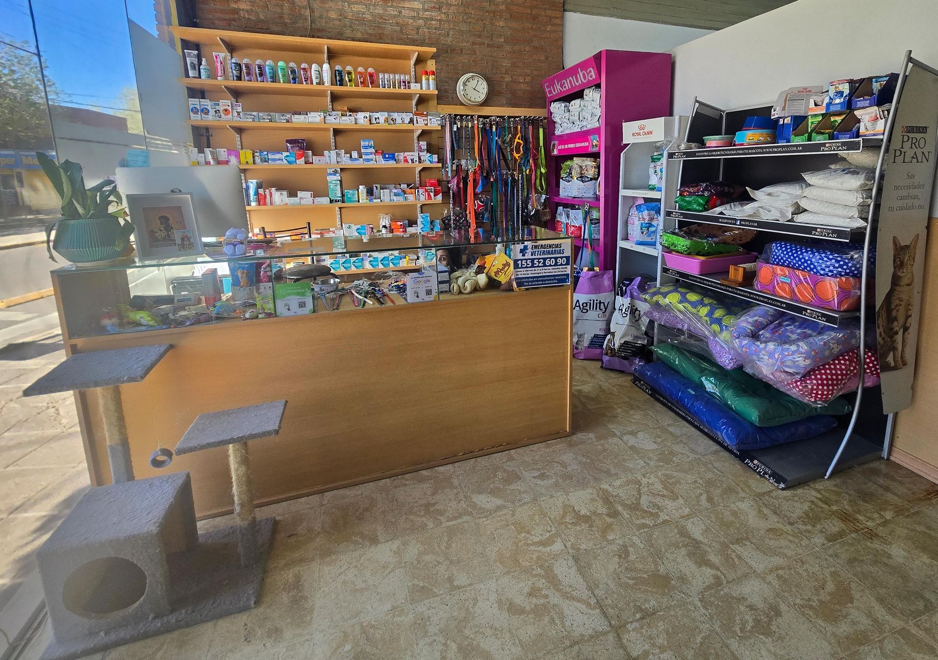 Veterinaria San Martin de Porres