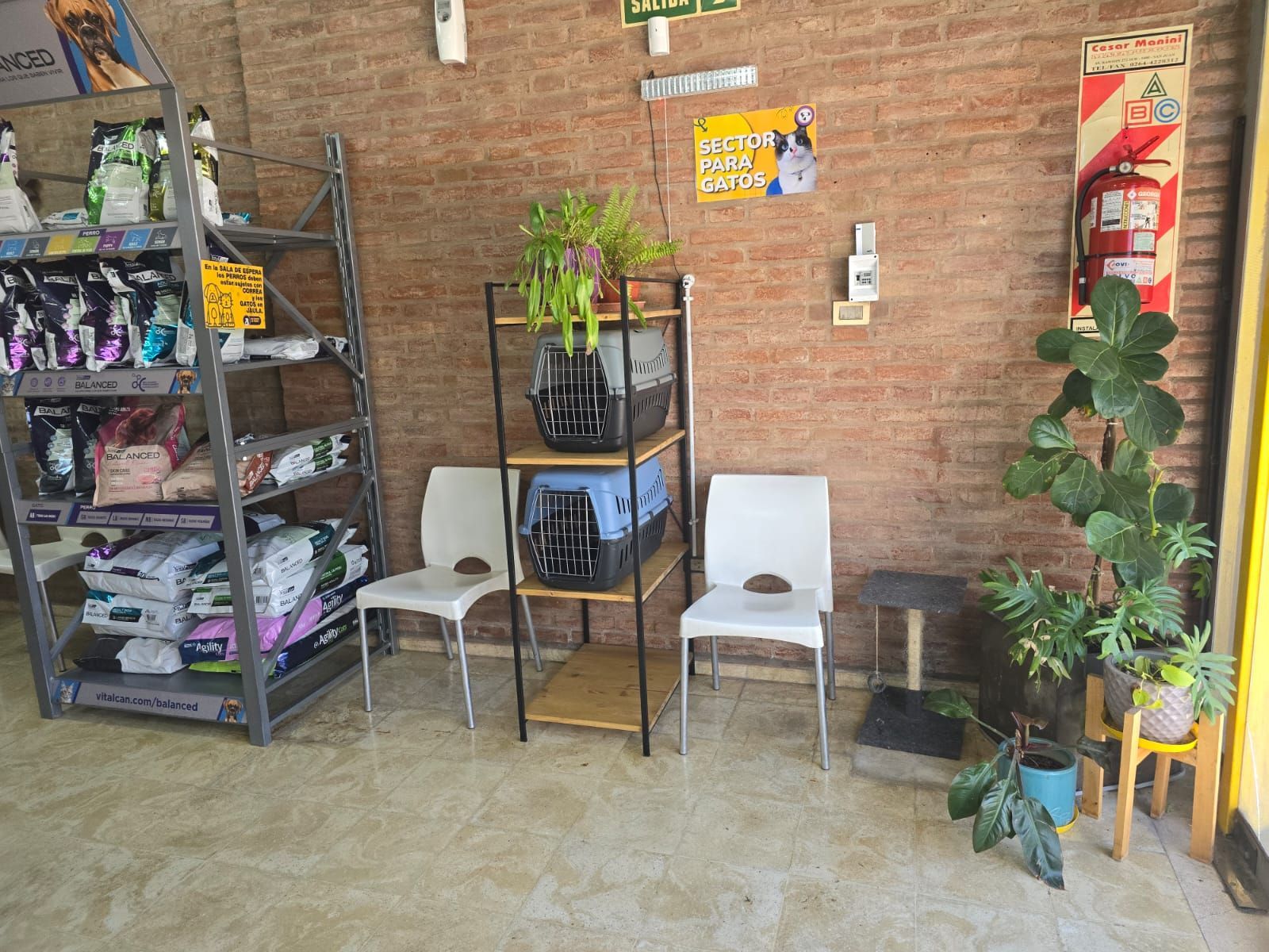 Veterinaria San Martin de Porres