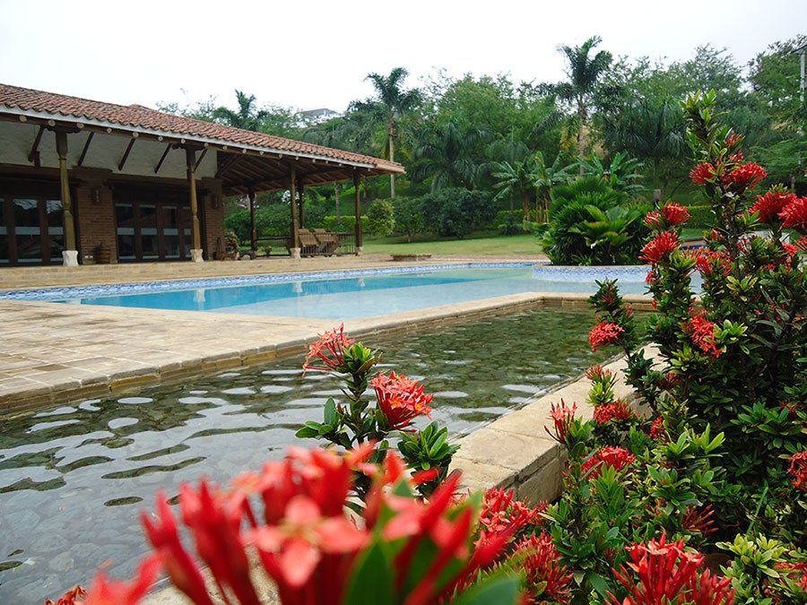 Ecoaguas piscina diseñada 4