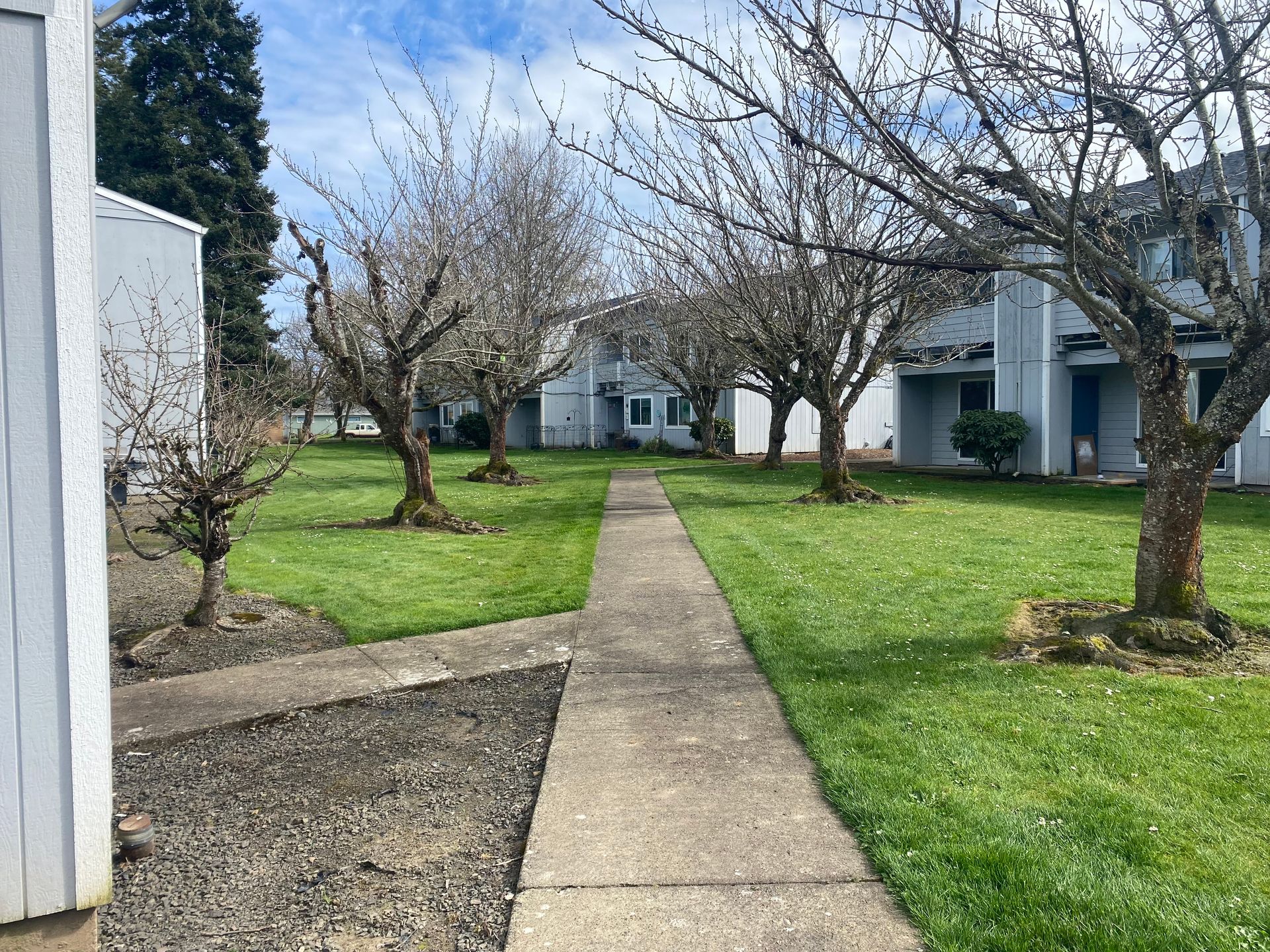 A concrete walkway passes through a grassy lawn between multi-story apartment buildings and leafless trees under a blue sky.