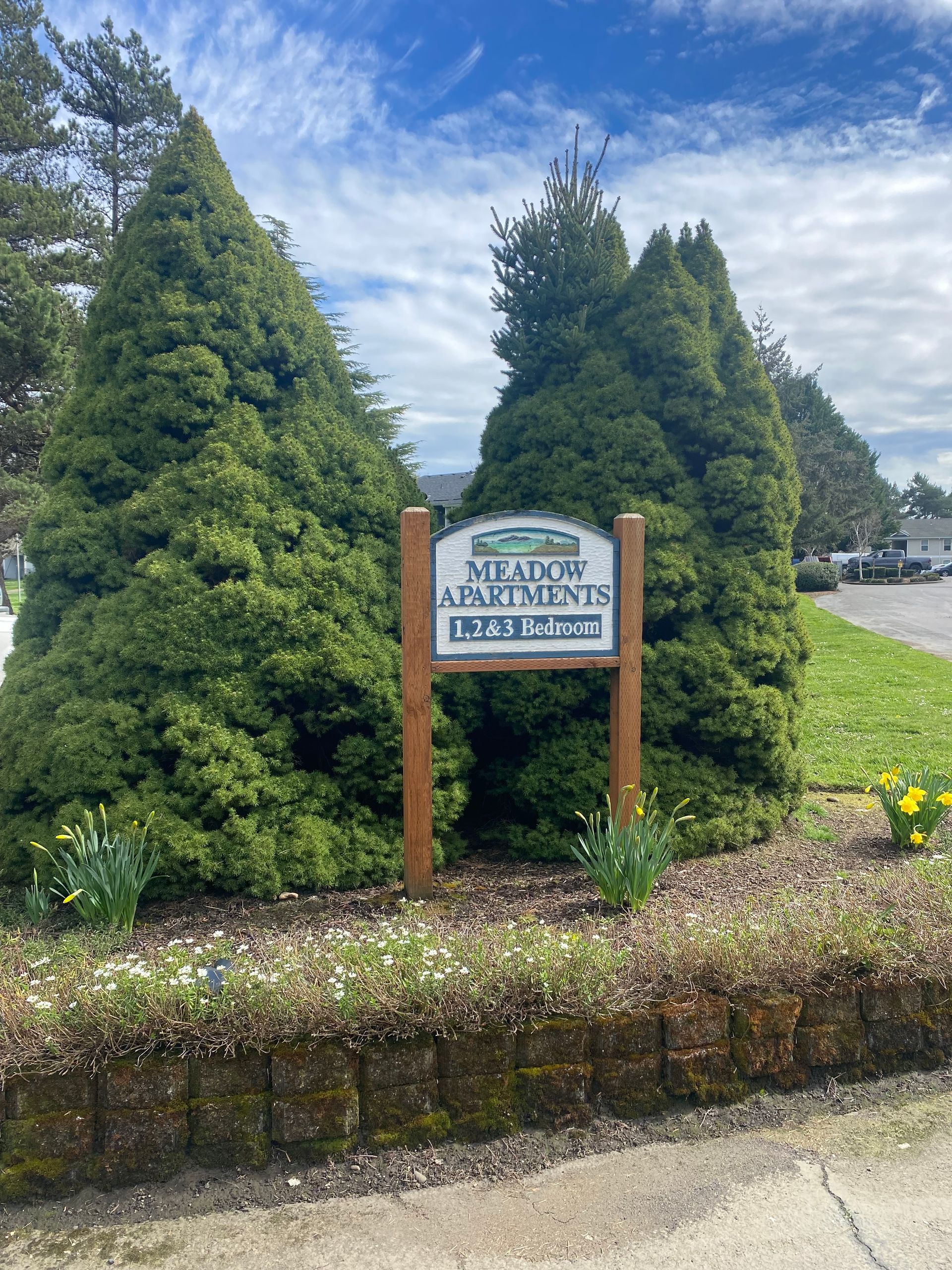 A wooden sign for Meadow Apartments, nestled between two large, cone-shaped evergreen trees in a landscaped yard.