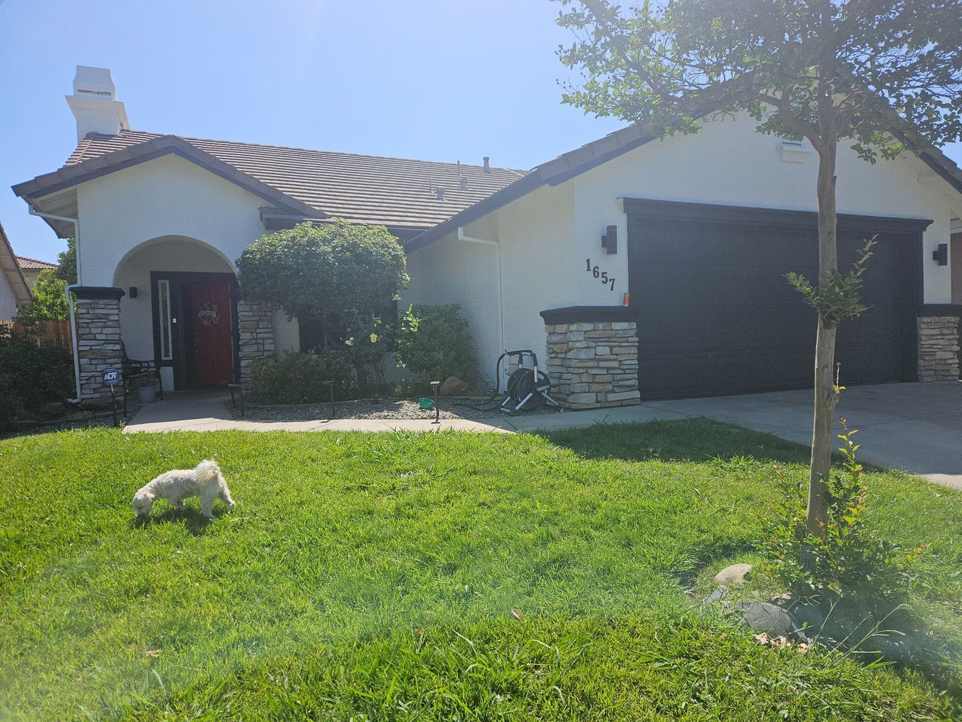 A single-story white house with a black garage and red front door, with a small dog standing on the front lawn.