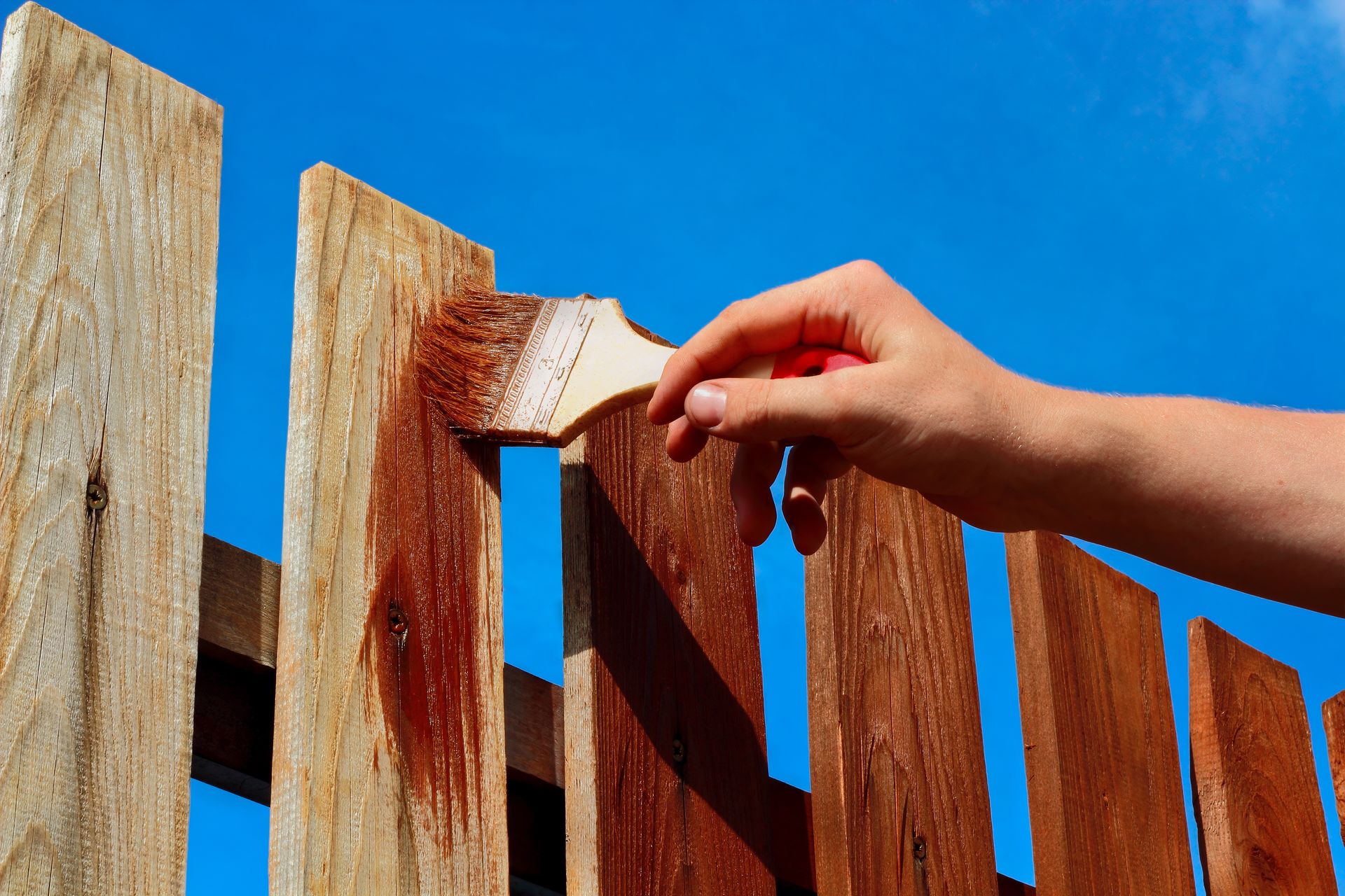A hand using a paintbrush to apply reddish-brown stain to wooden fence slats against a clear blue sky.