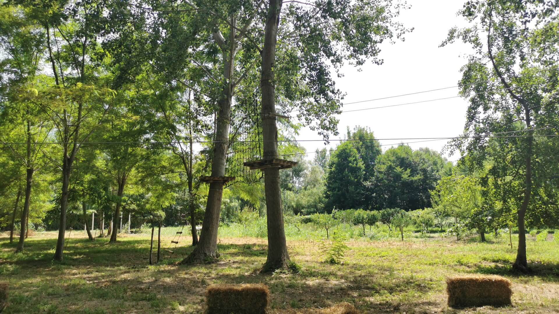 attività sportive per comitive